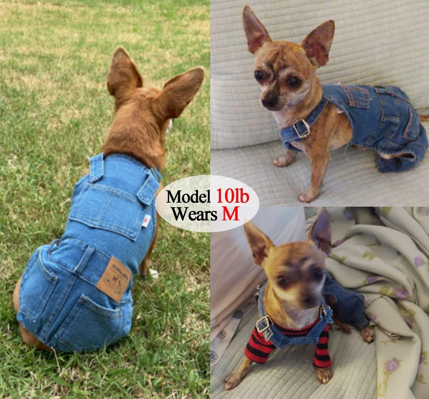 Dog Denim Overalls Jumpsuit