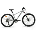 Darwin V Mountain Bike
