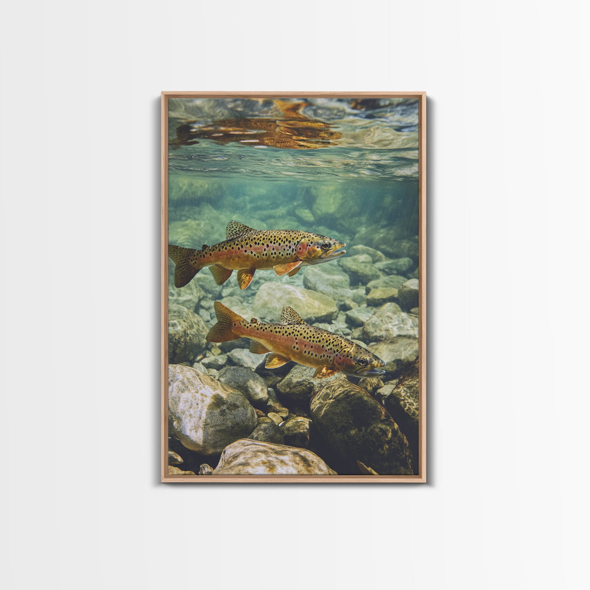 Trout Framed Canvas Art