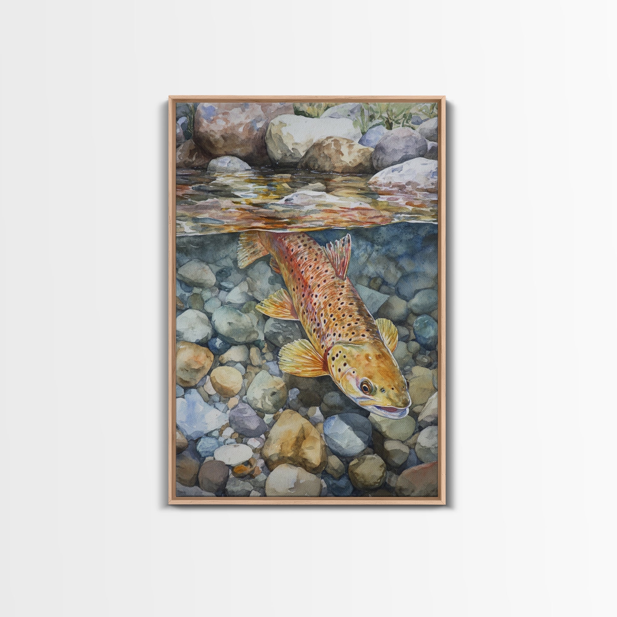Brown Trout Canvas Print
