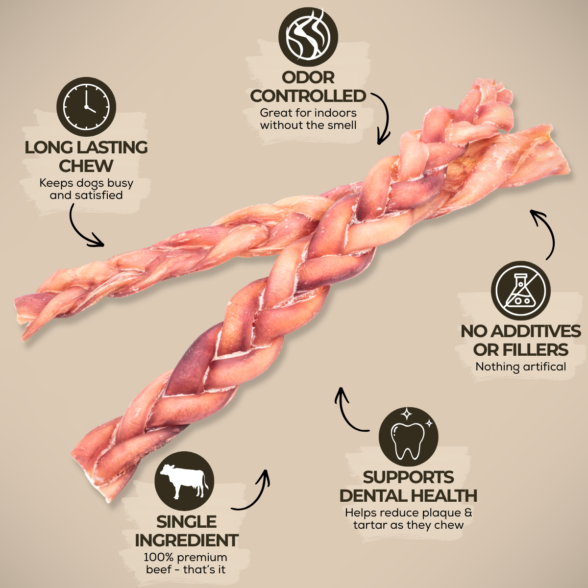 Standard Braided Bully Stick – 12 Inch