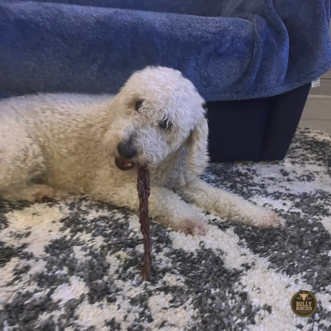 Braided Jerky Stick – 12 Inch