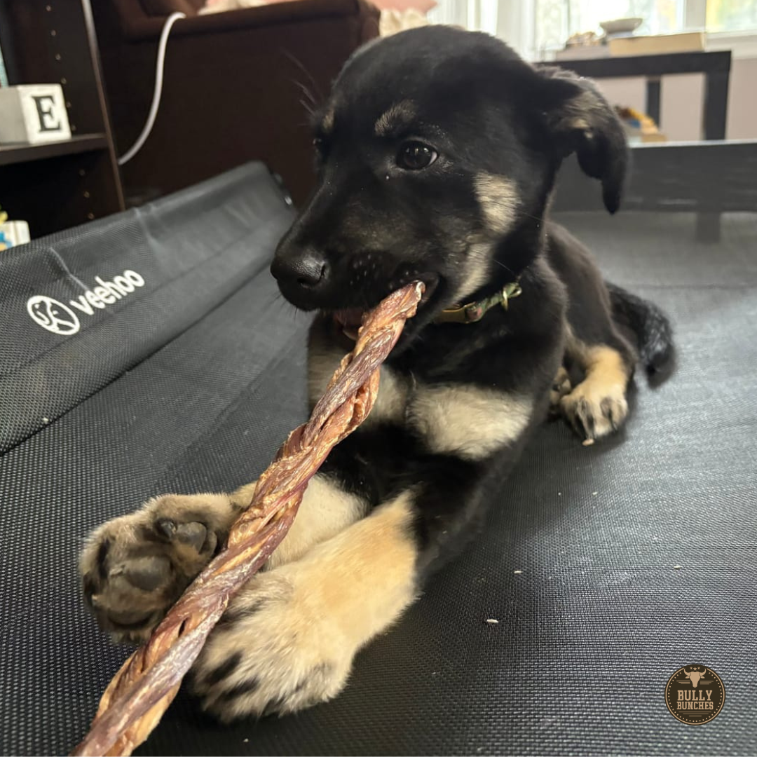 Braided Jerky Stick – 12 Inch