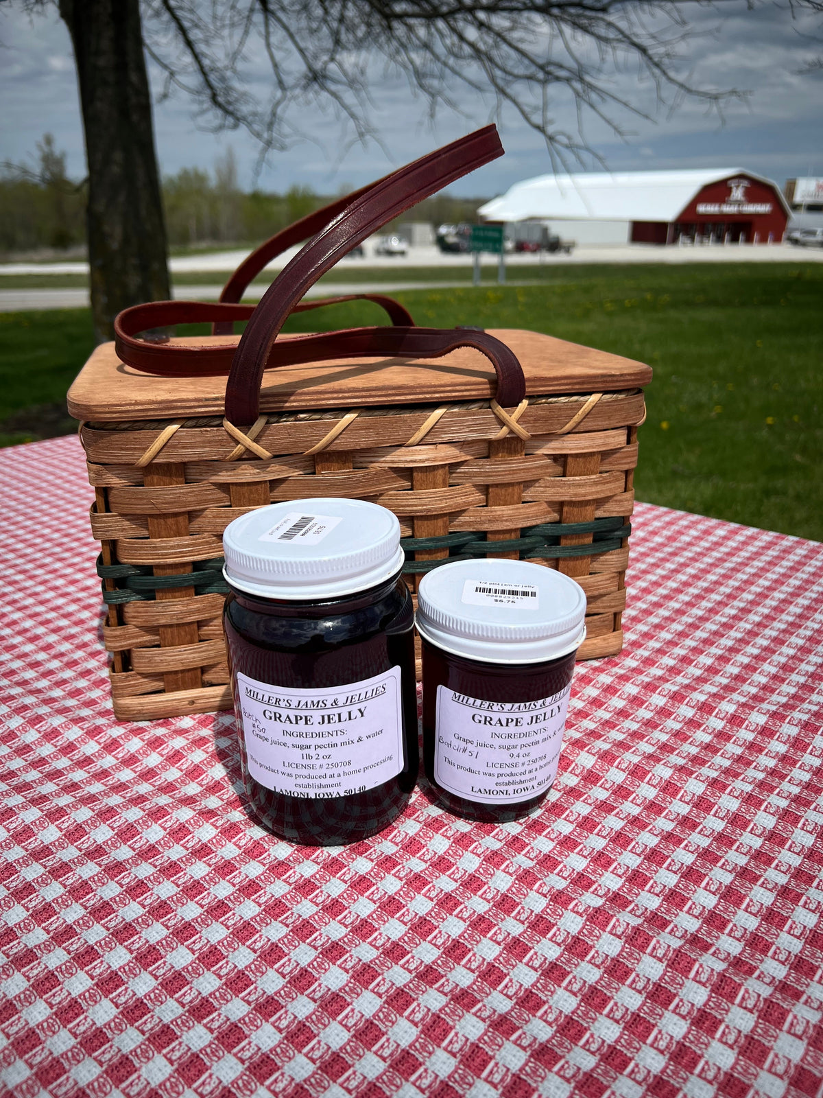 Miller’s Amish-Made Grape Jelly | 9.4 or 18 oz