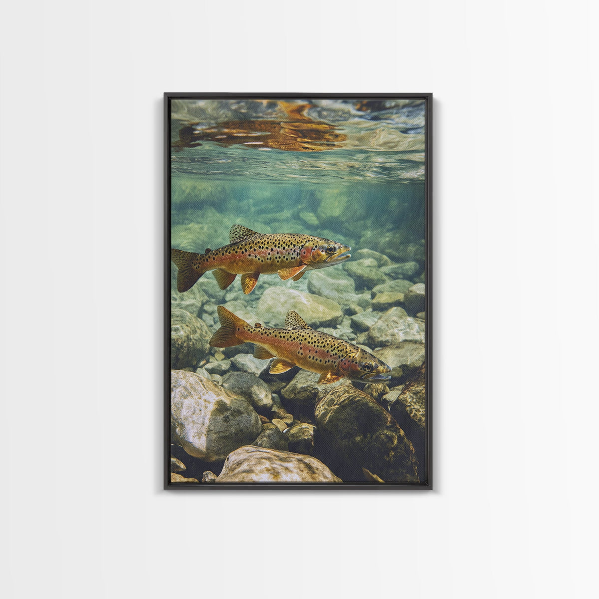 Trout Framed Canvas Art