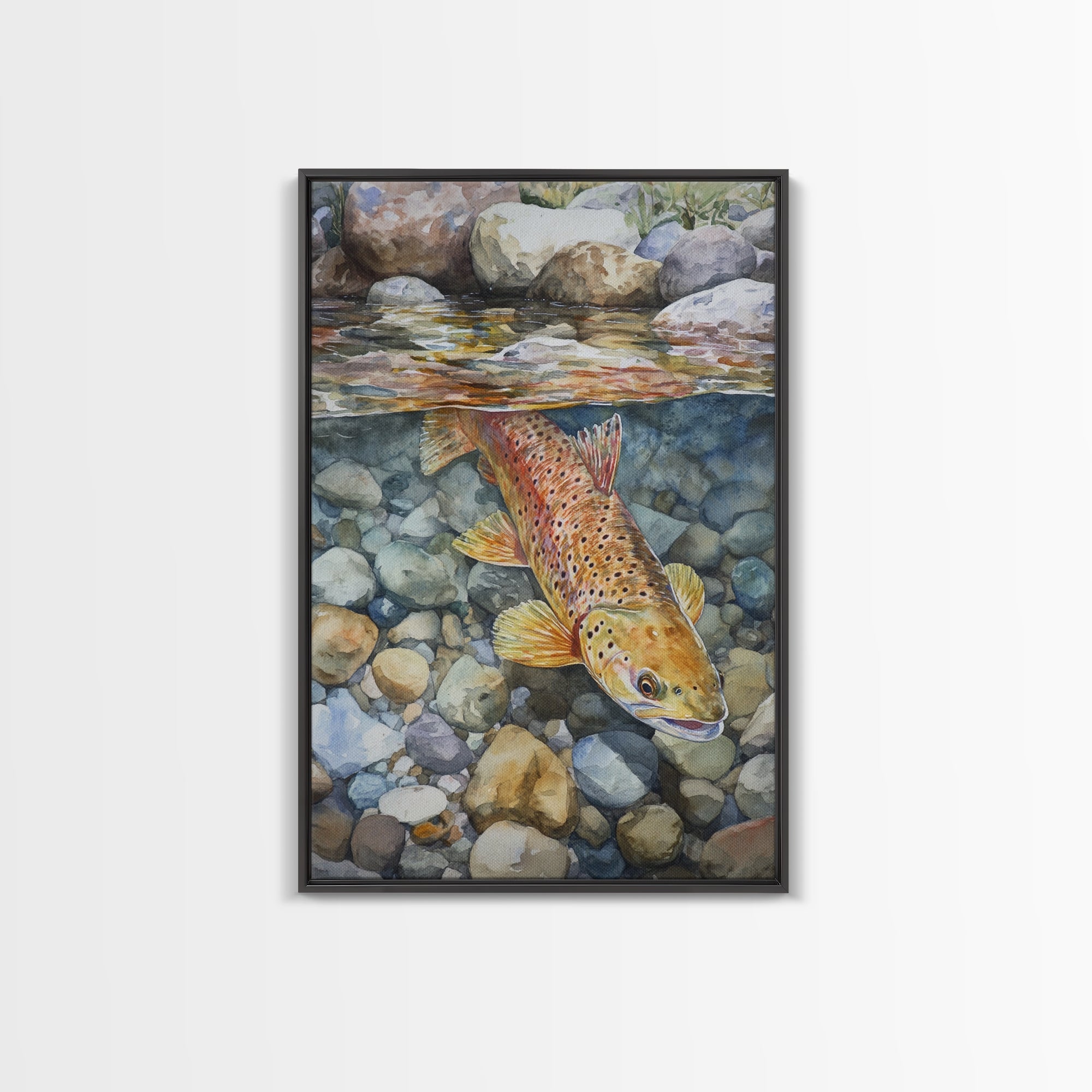 Brown Trout Canvas Print