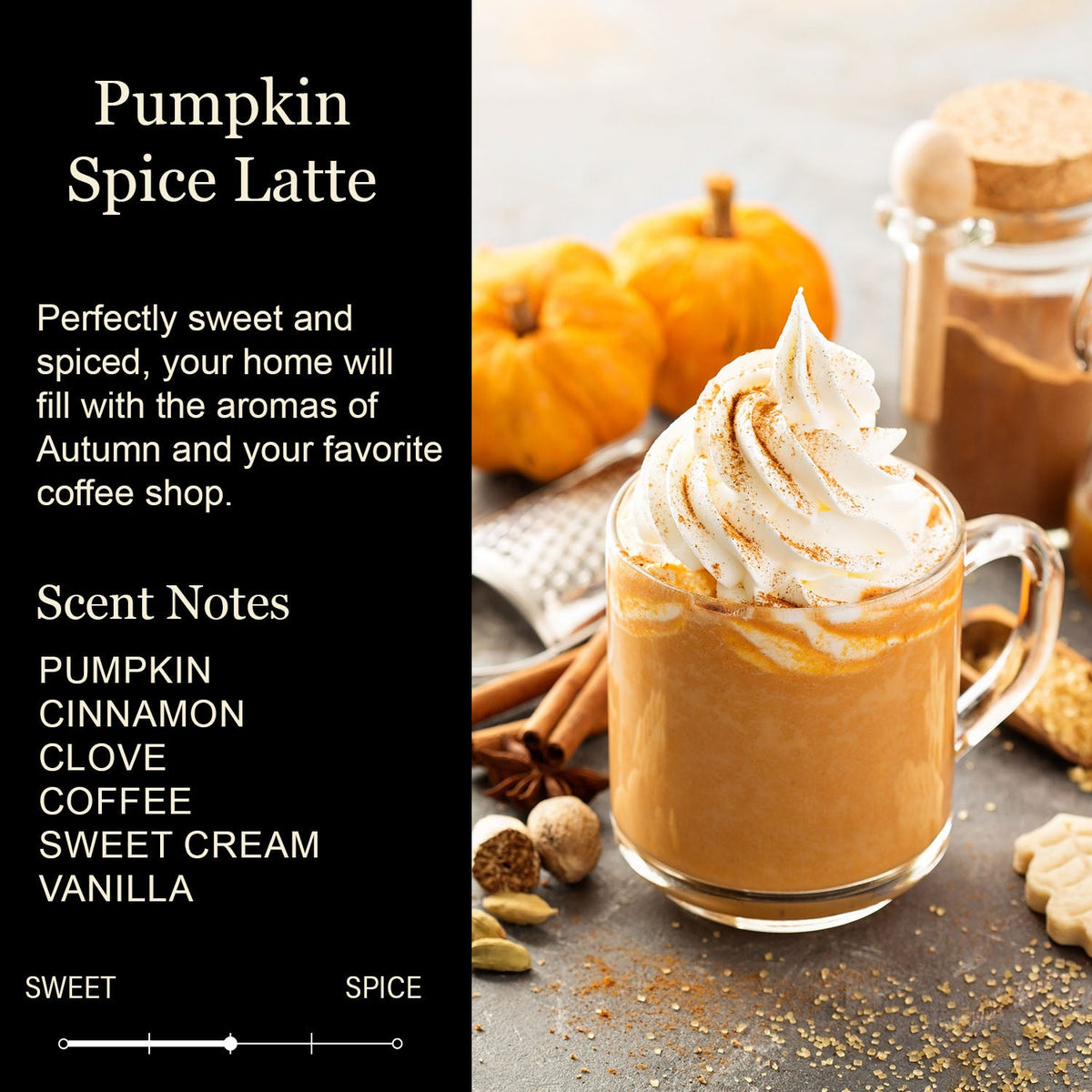 Autumn Leaves & Pumpkins Please Candle