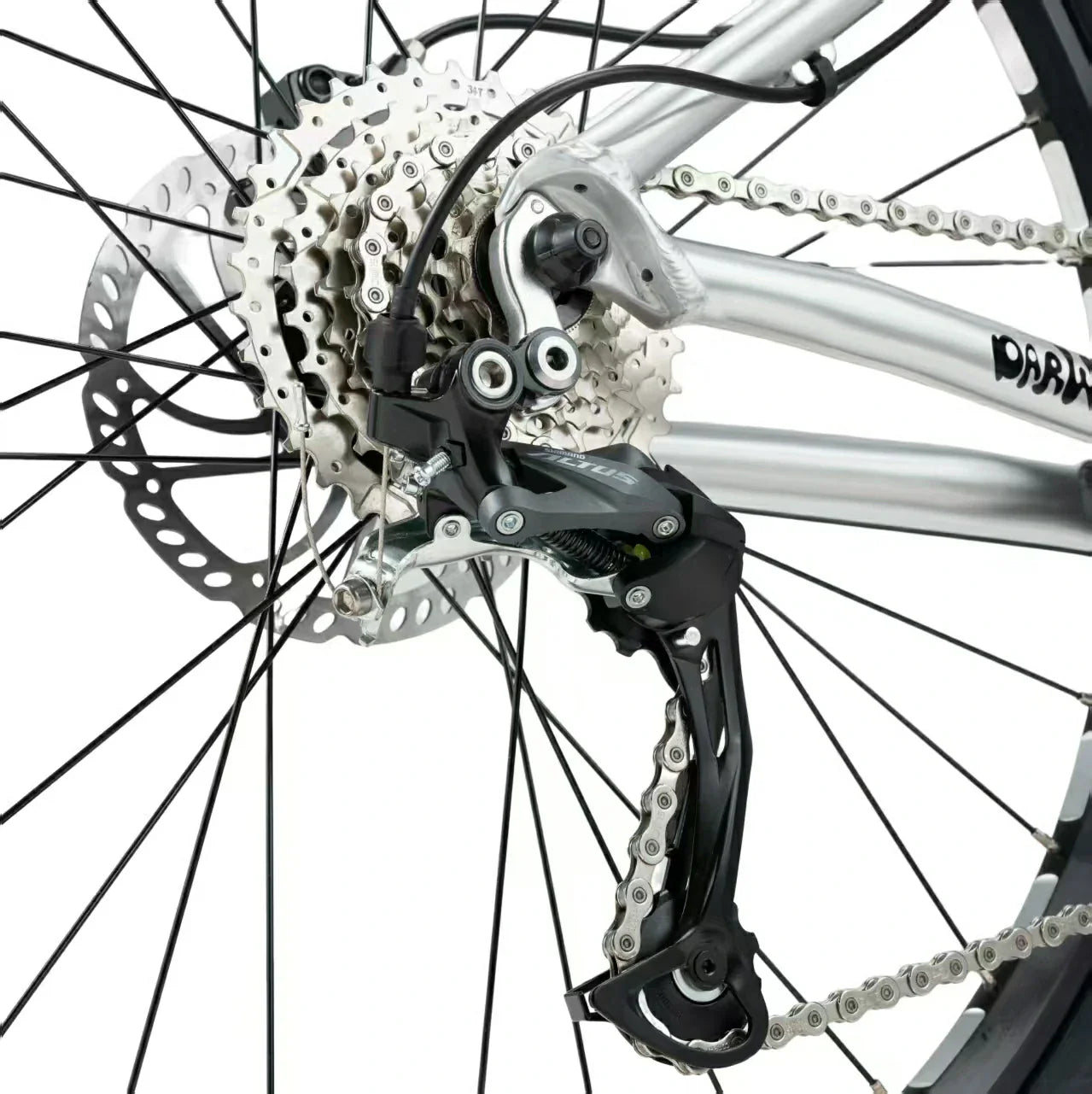 Darwin V Mountain Bike