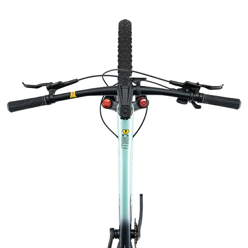 MT600 Mountain Bike
