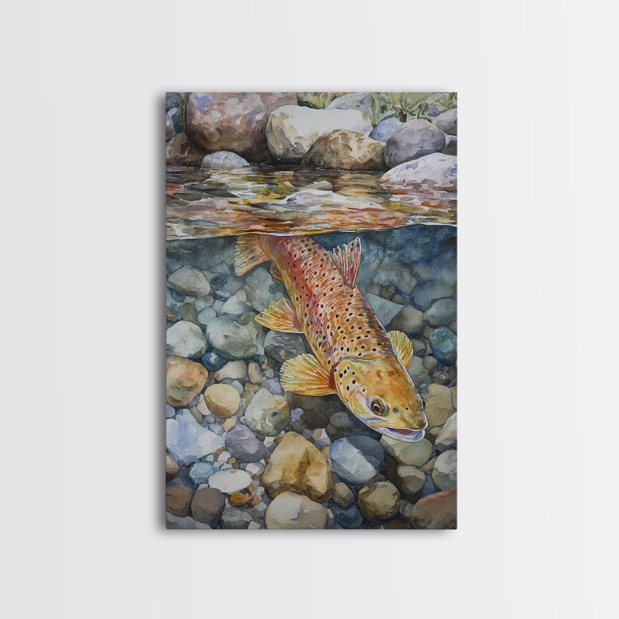 Brown Trout Canvas Print