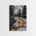 Autumn Forest Stream Canvas Print