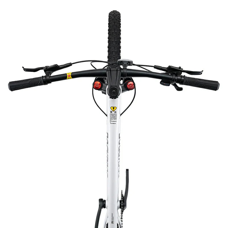 MT600 Mountain Bike