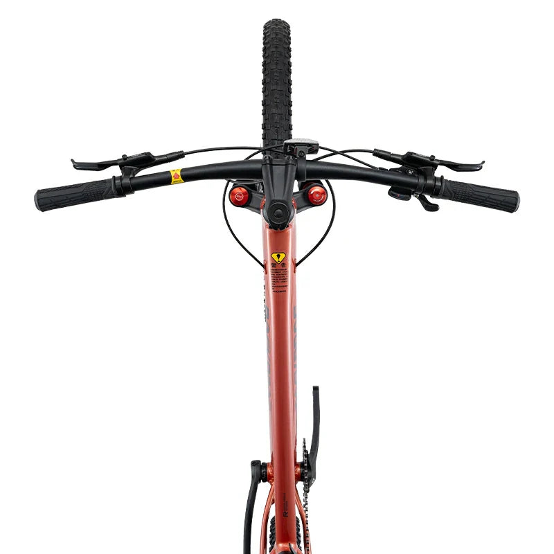 MT600 Mountain Bike
