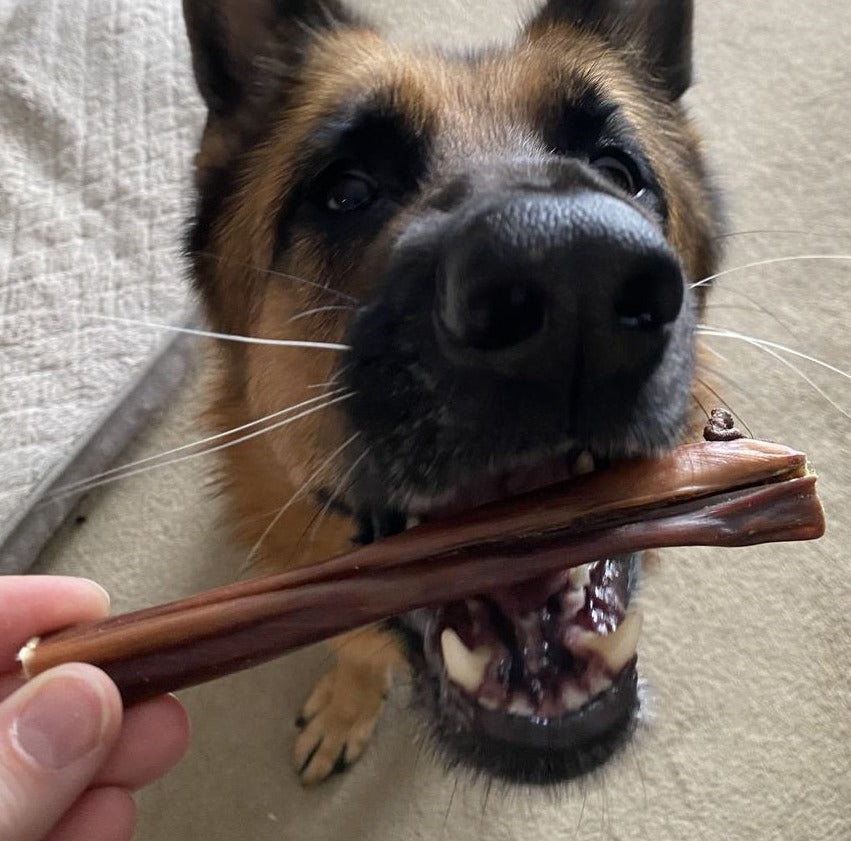 Beef Jerky Stick – 6 Inch