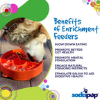 Great Outdoors Slow Feeder Dog Bowl