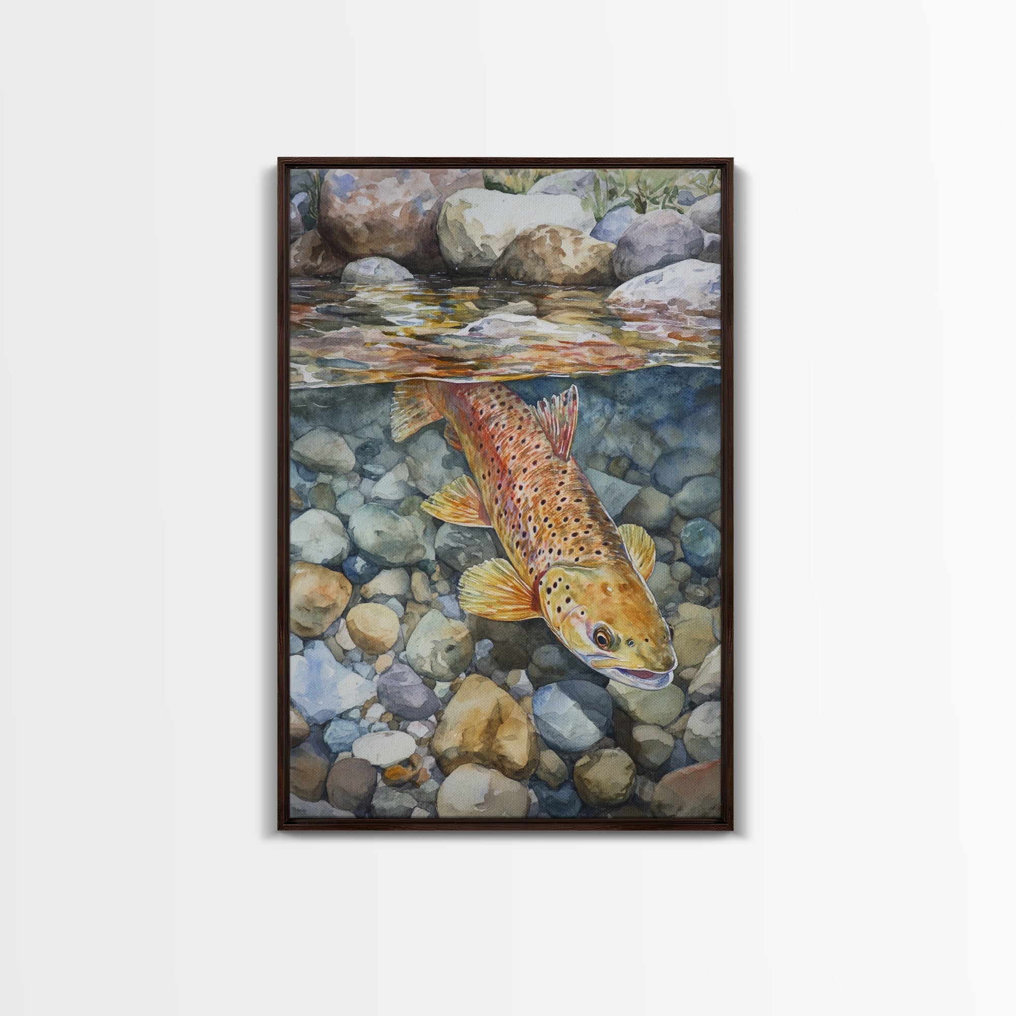 Brown Trout Canvas Print