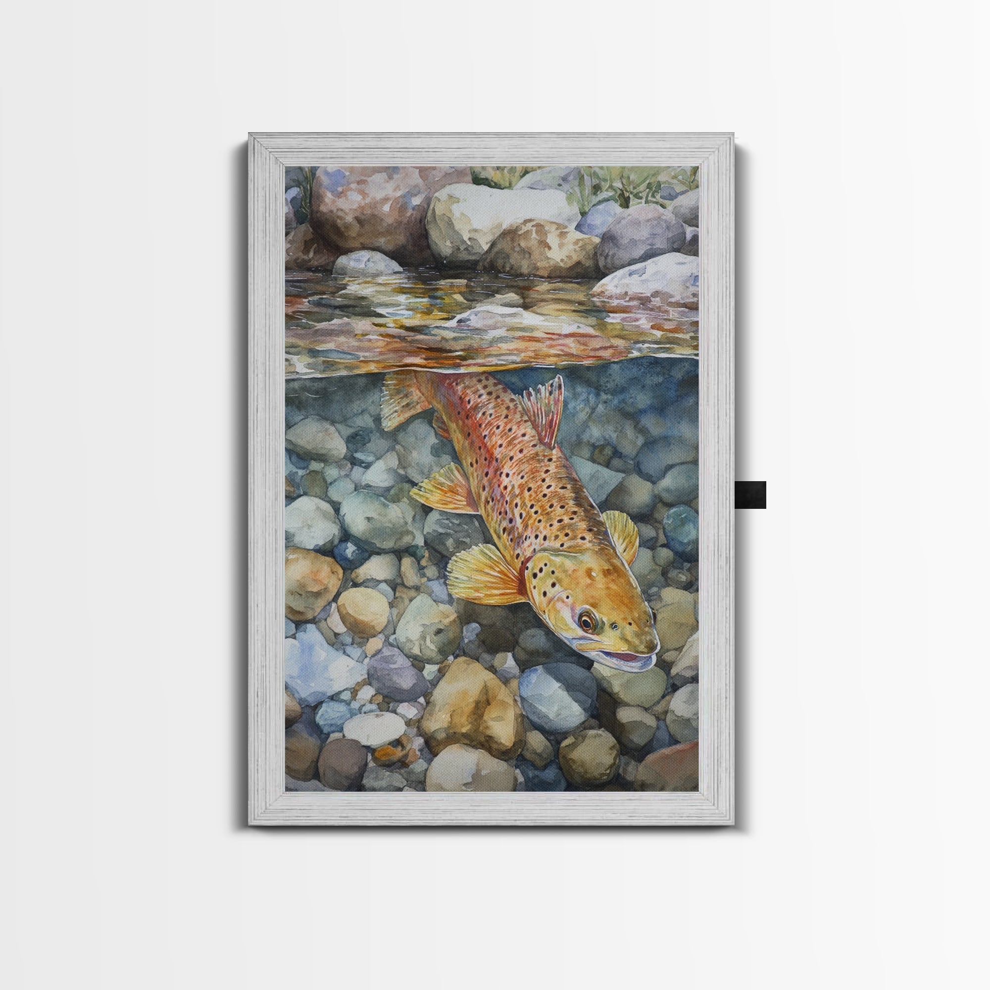 Brown Trout Canvas Print