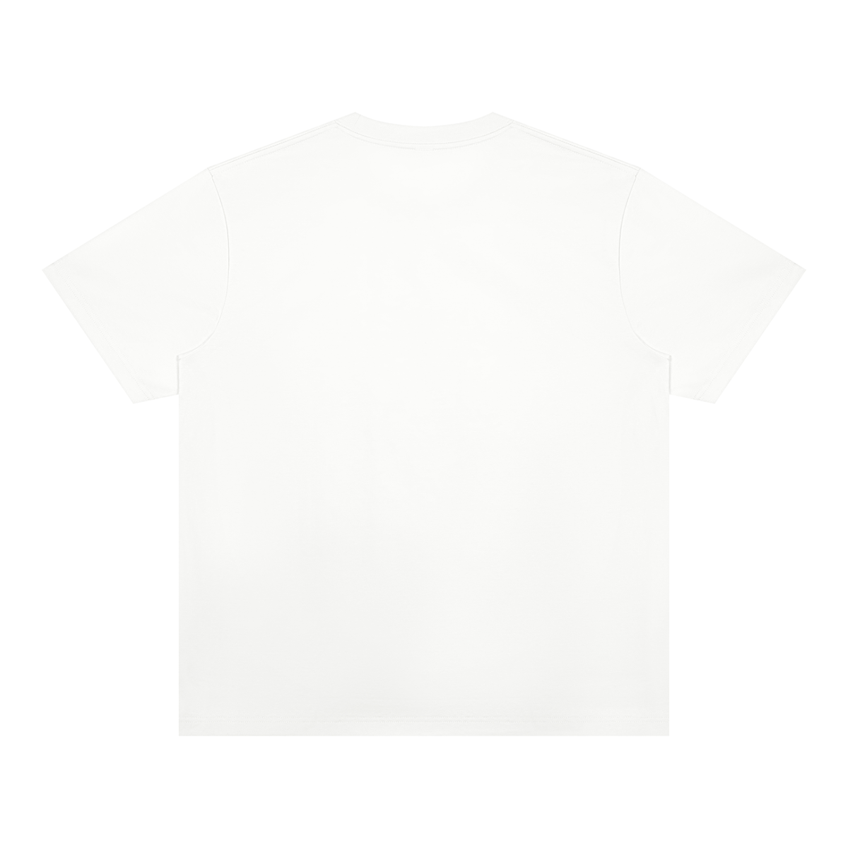 Unisex Heavyweight Sorona T-Shirt