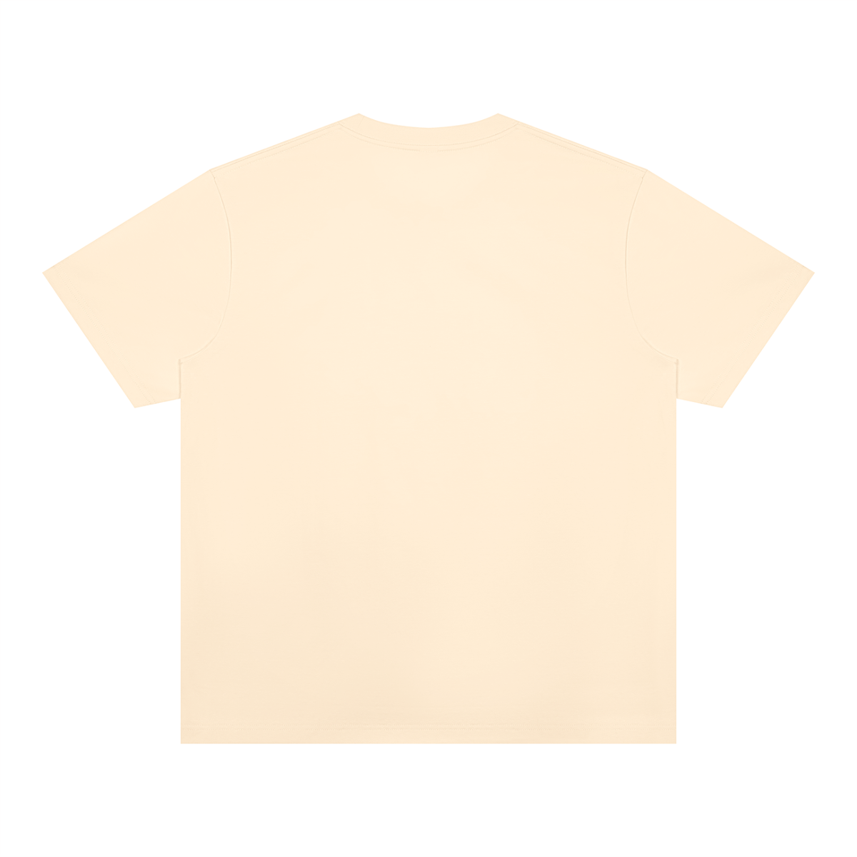 Unisex Heavyweight Sorona T-Shirt