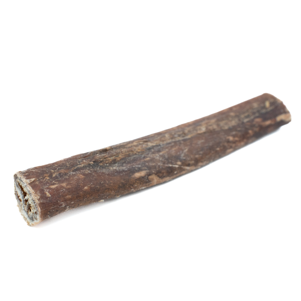 Champion Chew – 5-6 Inch