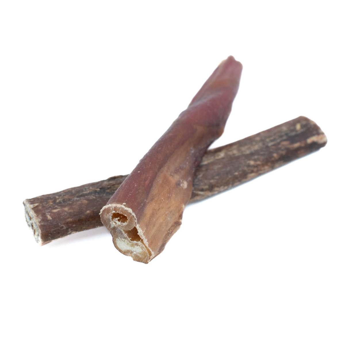 Champion Chew – 5-6 Inch