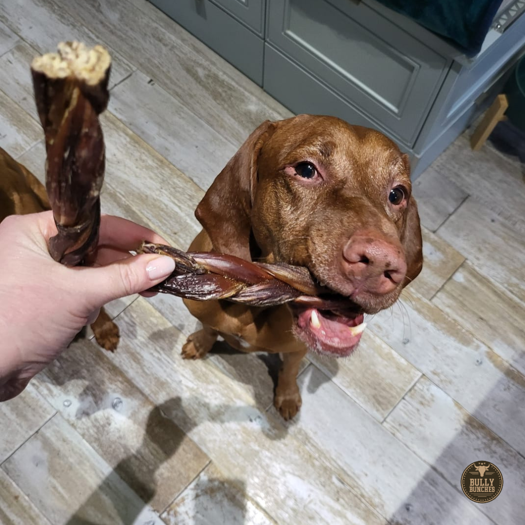 Braided Jerky Stick – 6 Inch