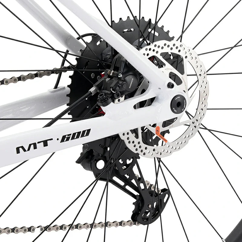 MT600 Mountain Bike