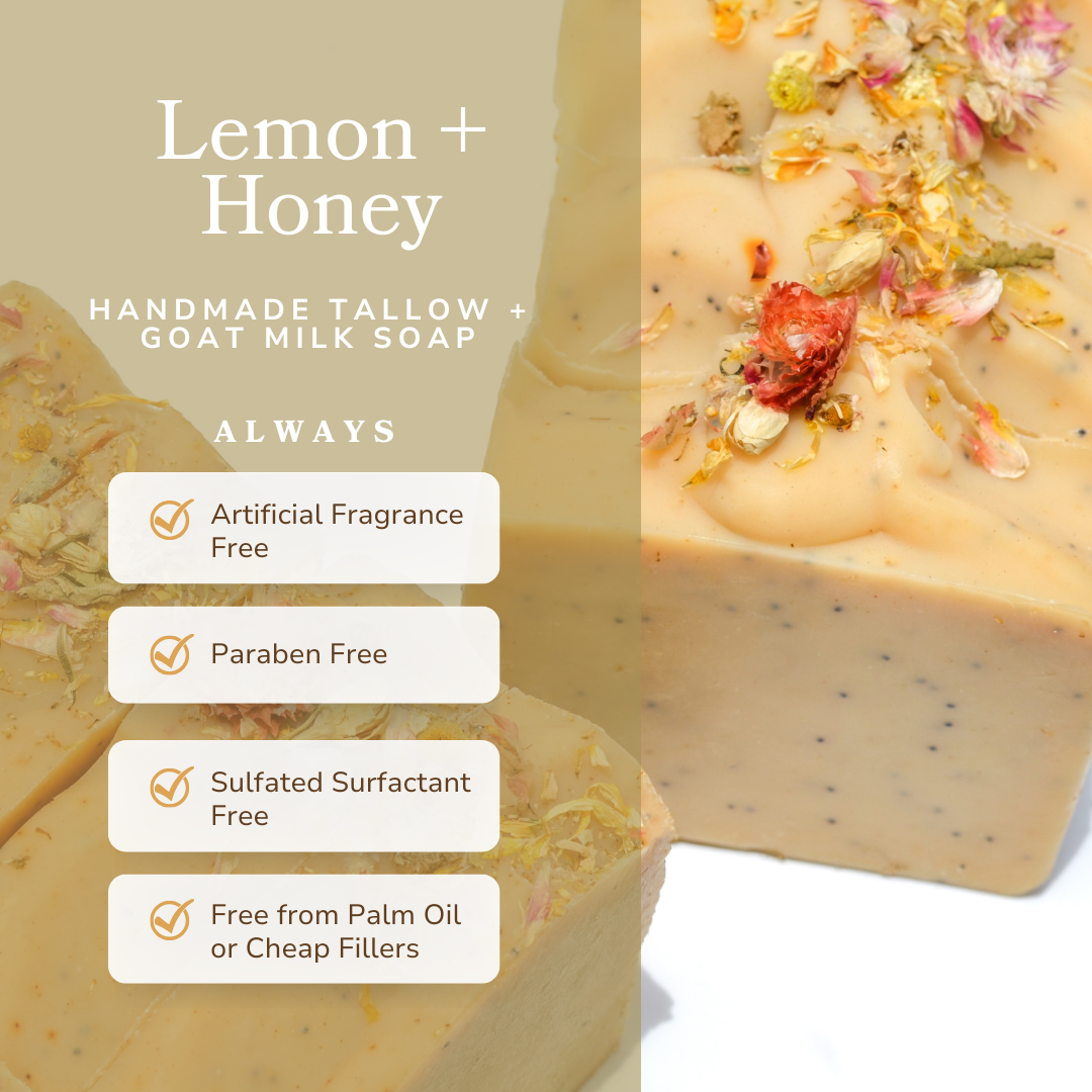 Lemon Honey Poppy Seed Tallow & Goat Milk Soap | 4.5 oz