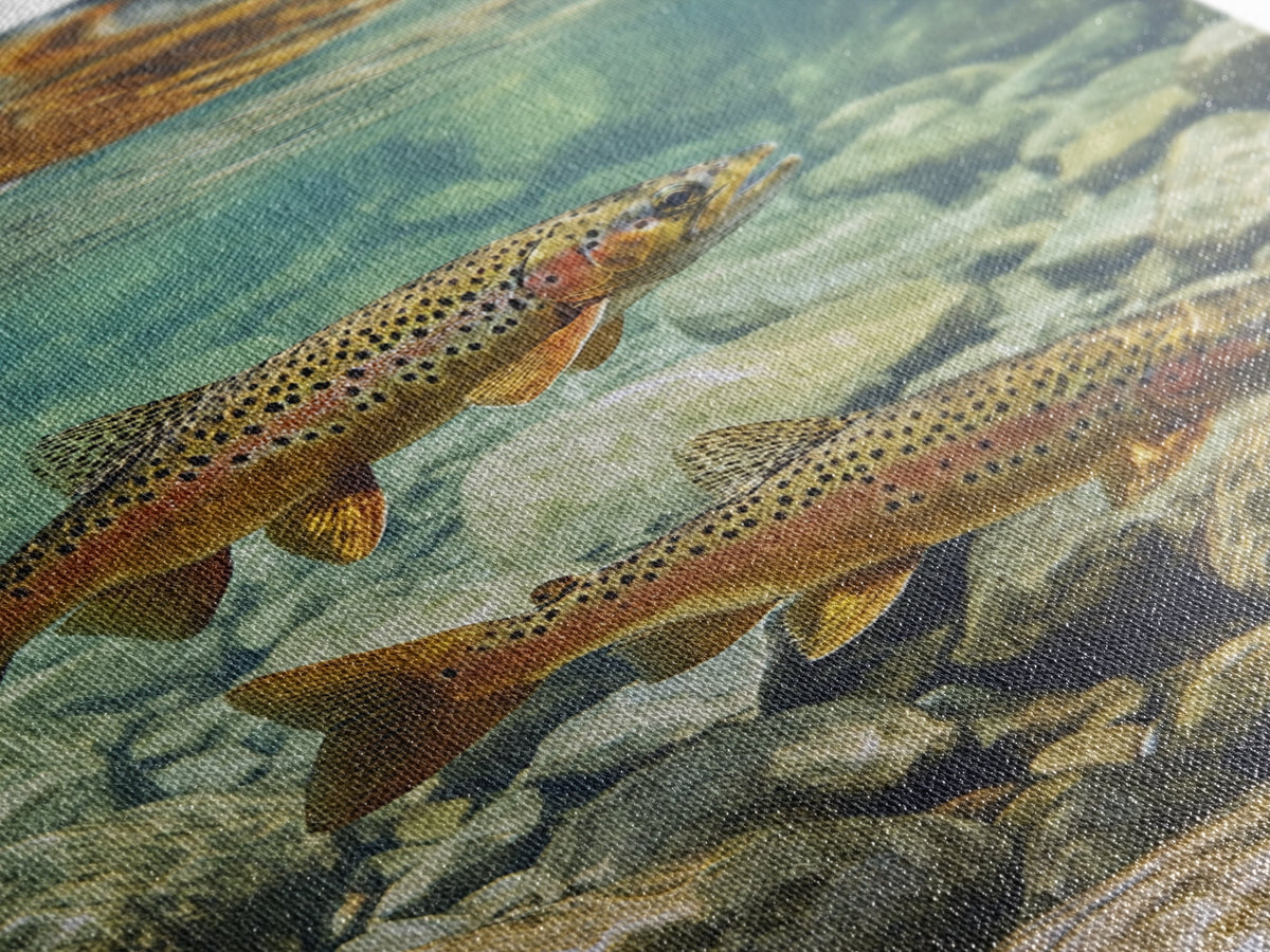Trout Framed Canvas Art