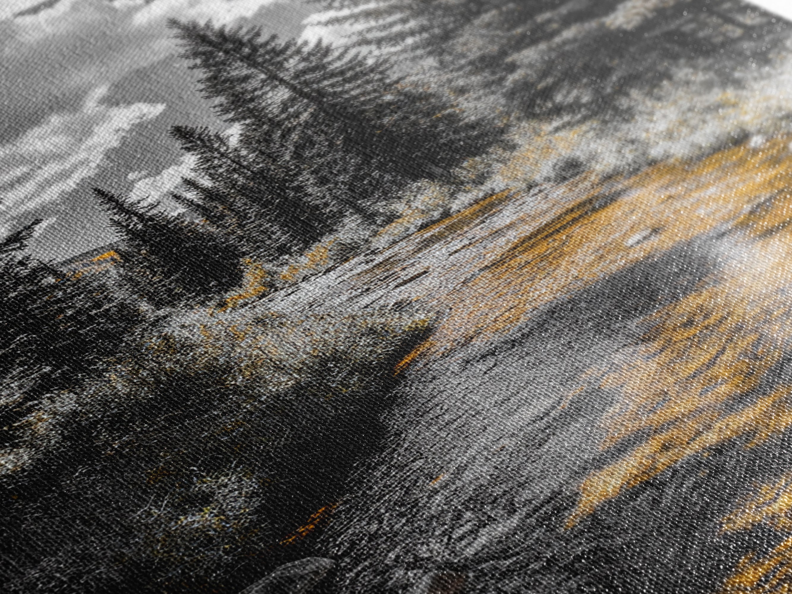Autumn Forest Stream Canvas Print