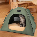 Cat inside a green pet tent on a wooden floor