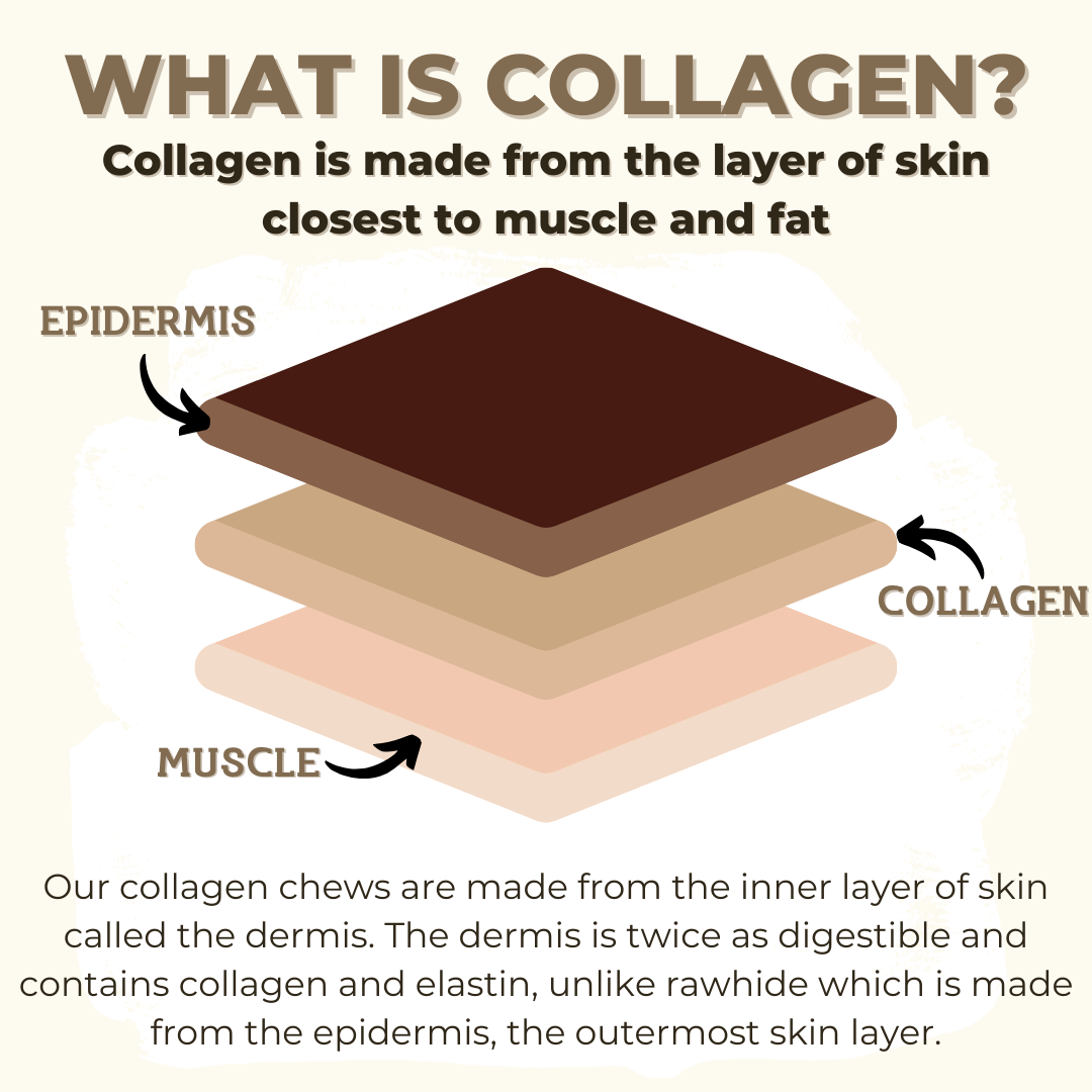 Beef Collagen Stick – 5-6 Inch