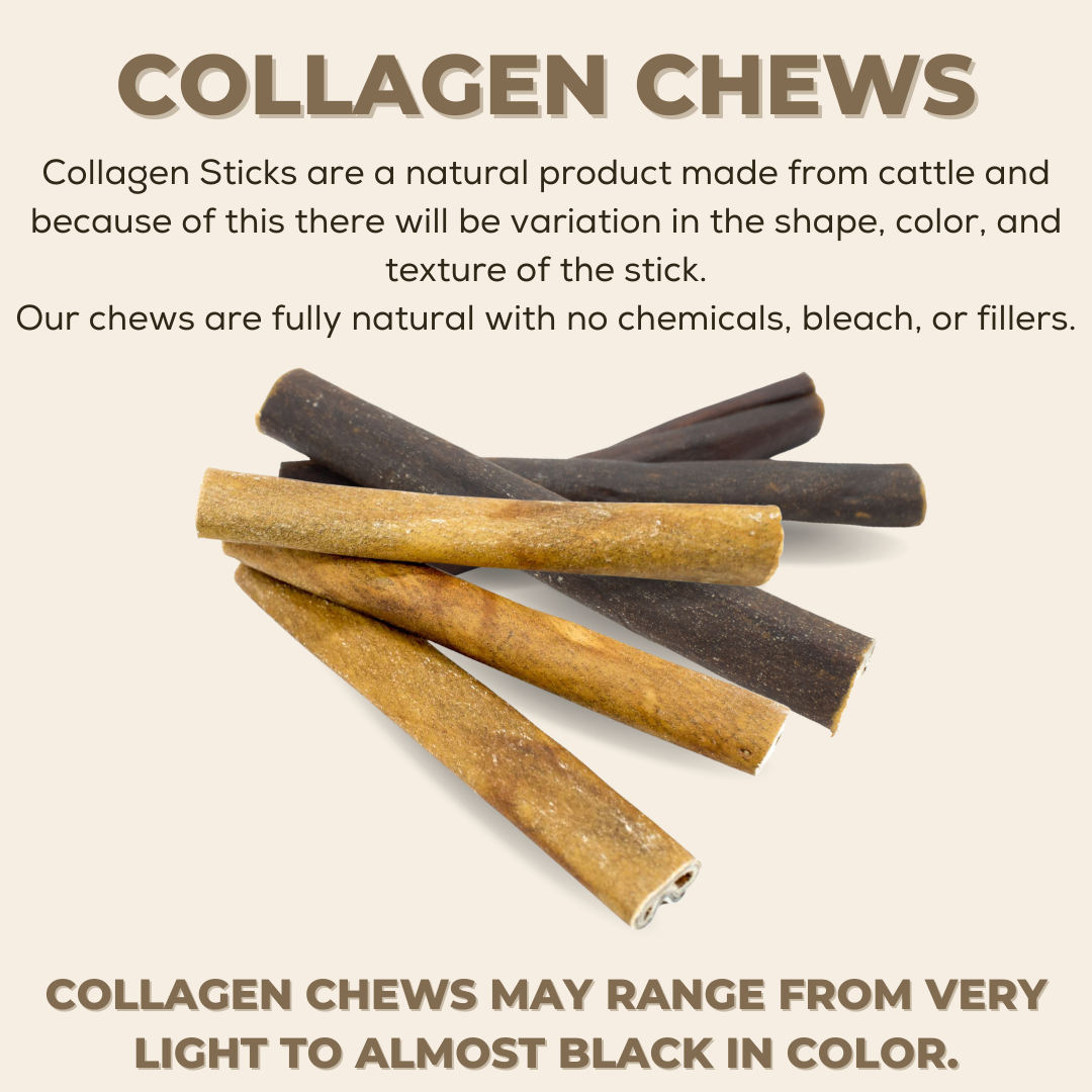 Champion Chew – 5-6 Inch