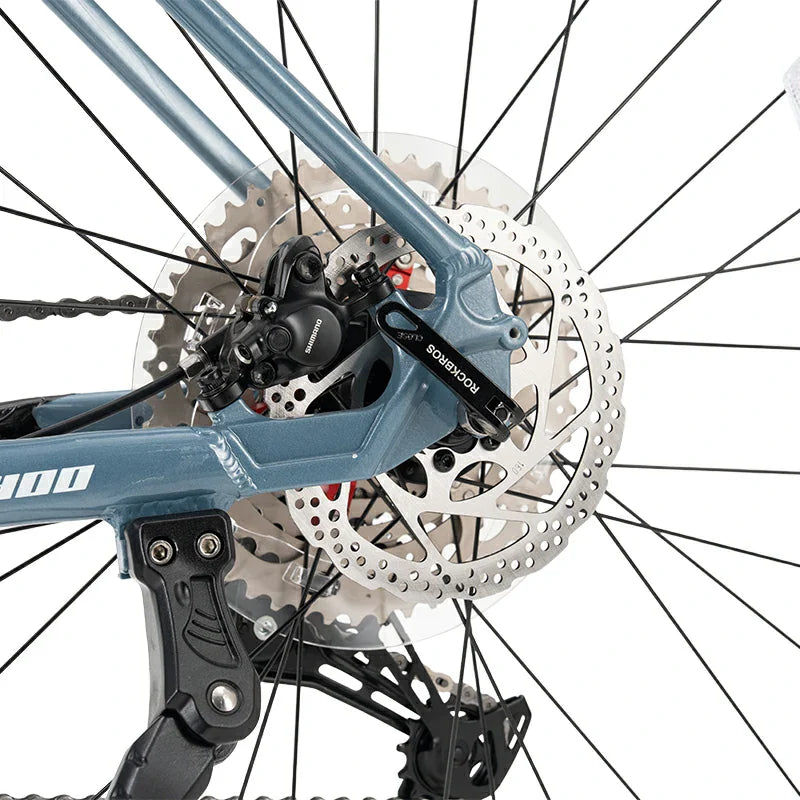 29" Hardtail Mountain Bike