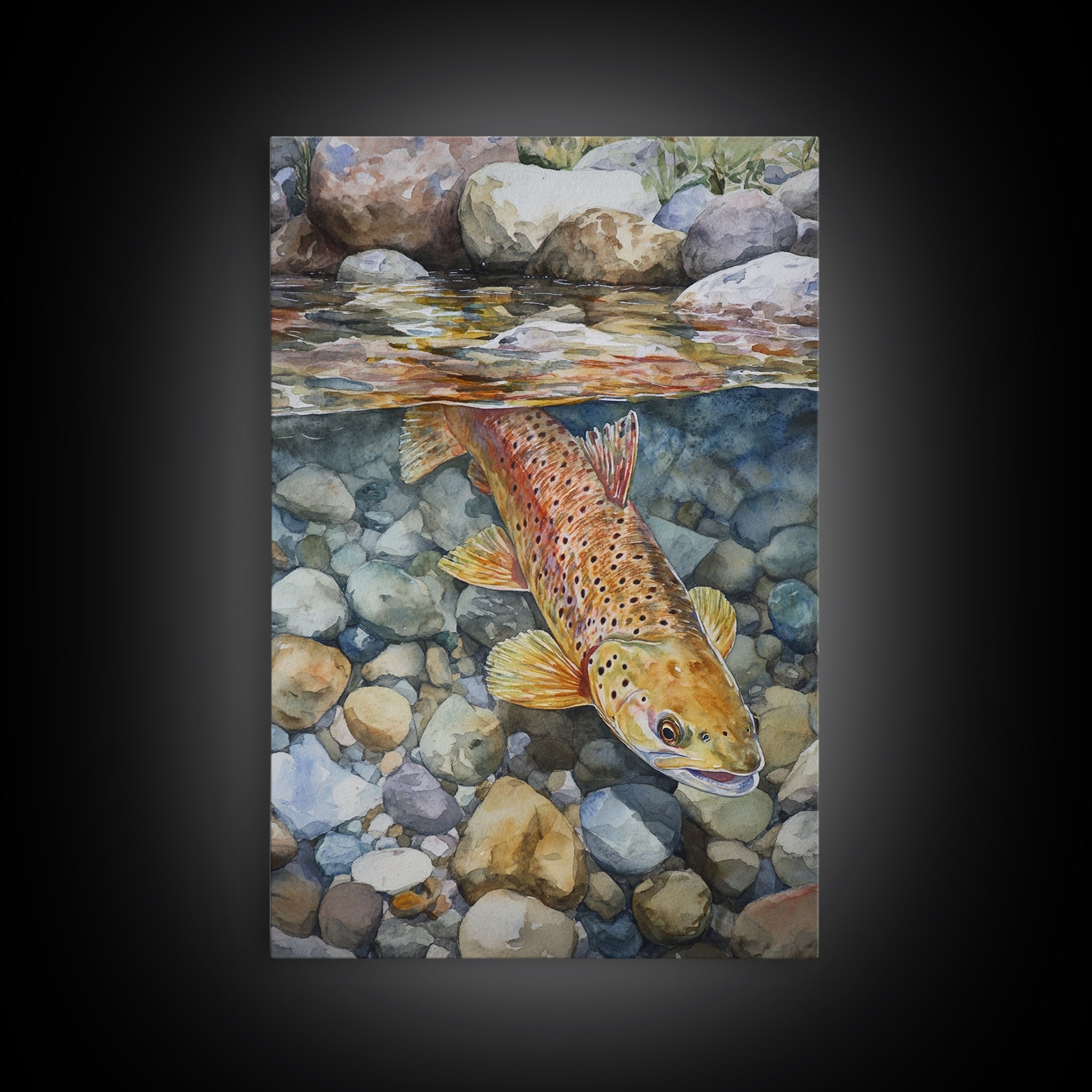 Brown Trout Canvas Print