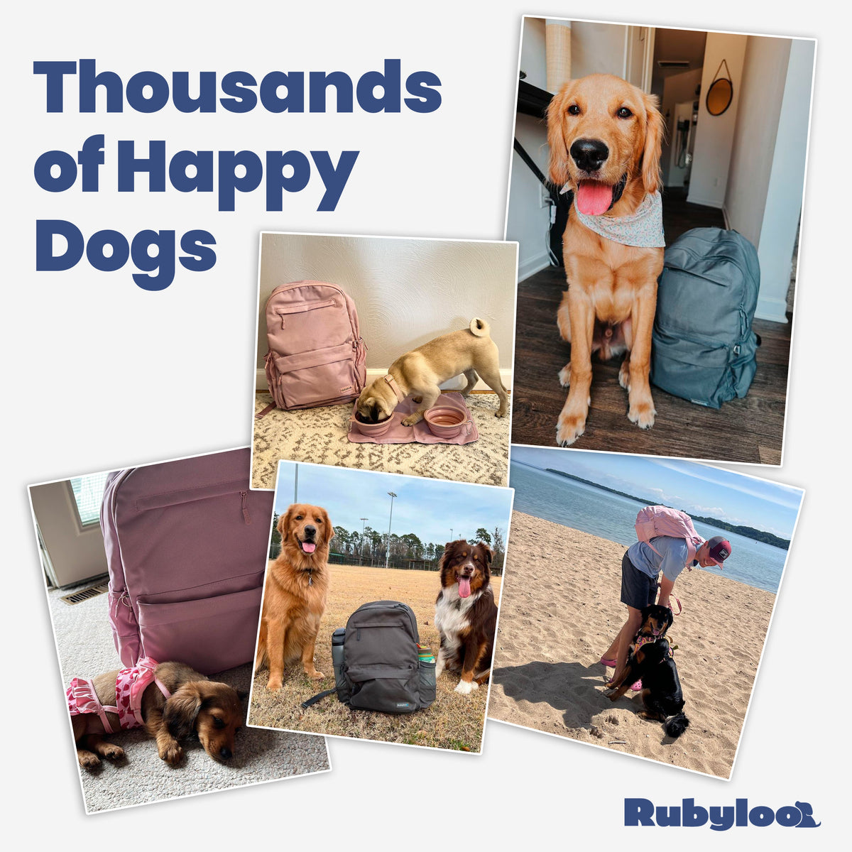 The Original Doggy Bag™ Backpack