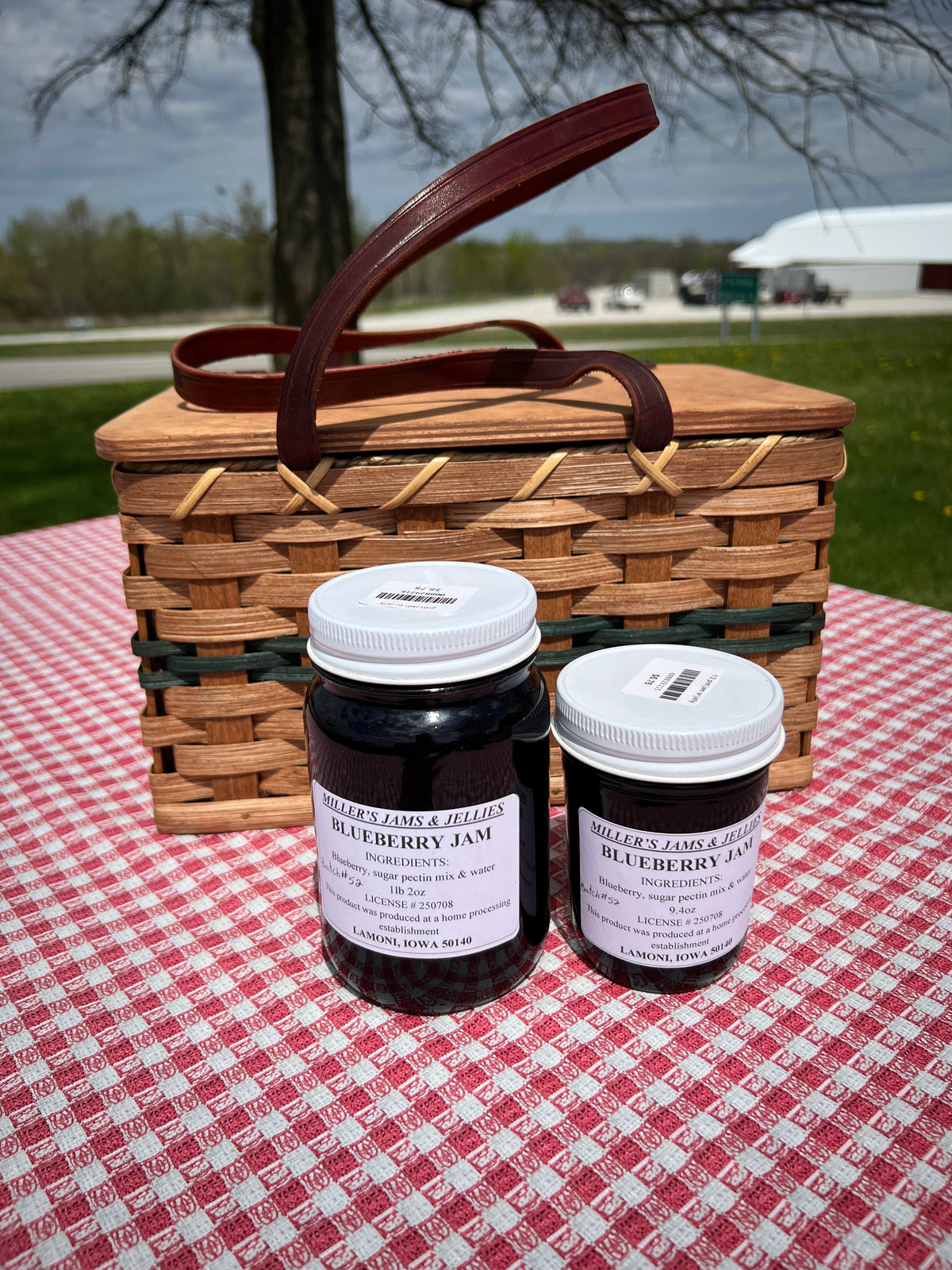 Miller’s Amish-Made Blueberry Jam | 9.4 or 18 oz