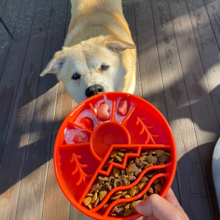 Great Outdoors Slow Feeder Dog Bowl