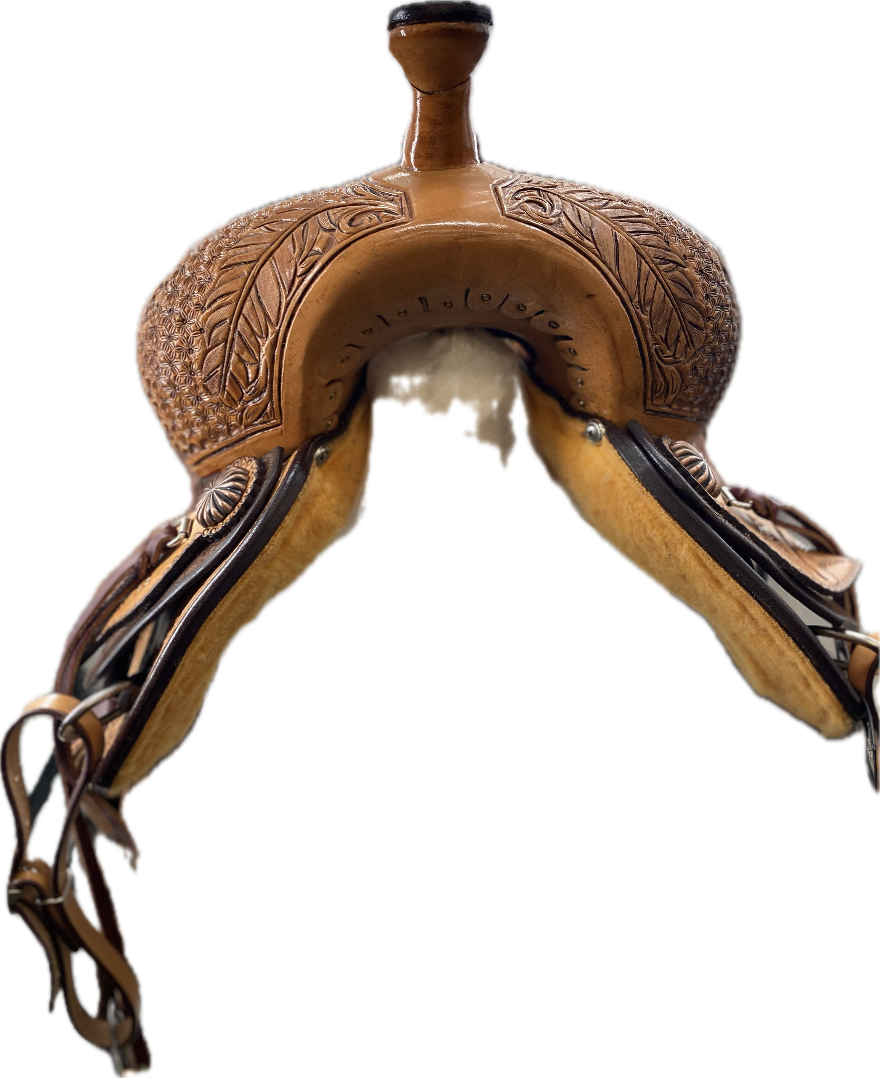 Eagle Wing Trail Saddle