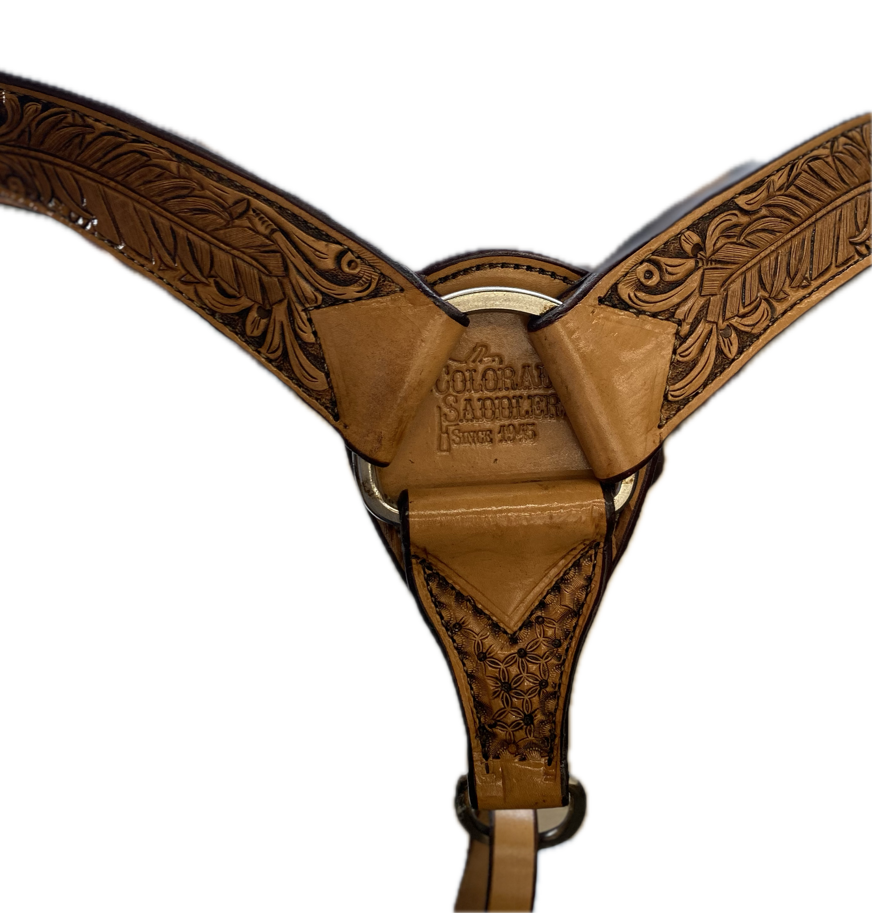 Eagle Wing Trail Saddle