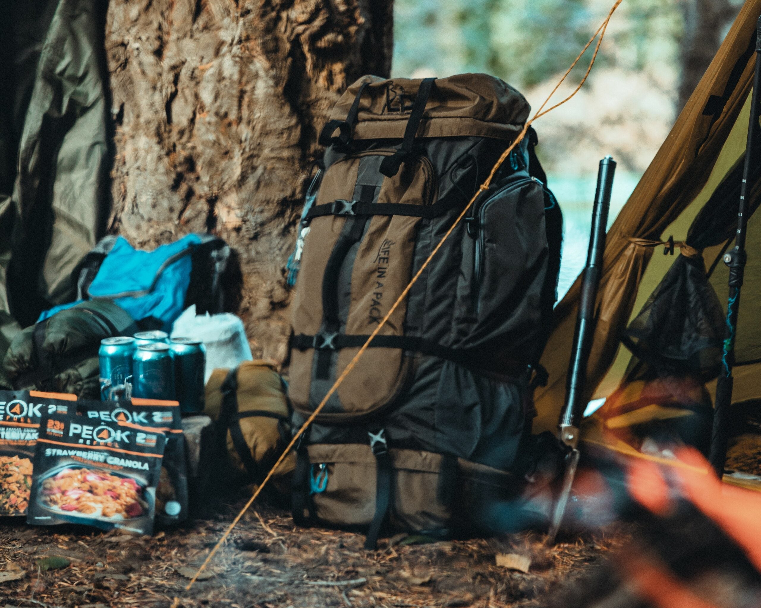 LifePack Backpacking & Survival Kit