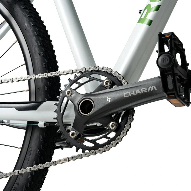 29" Hardtail Mountain Bike