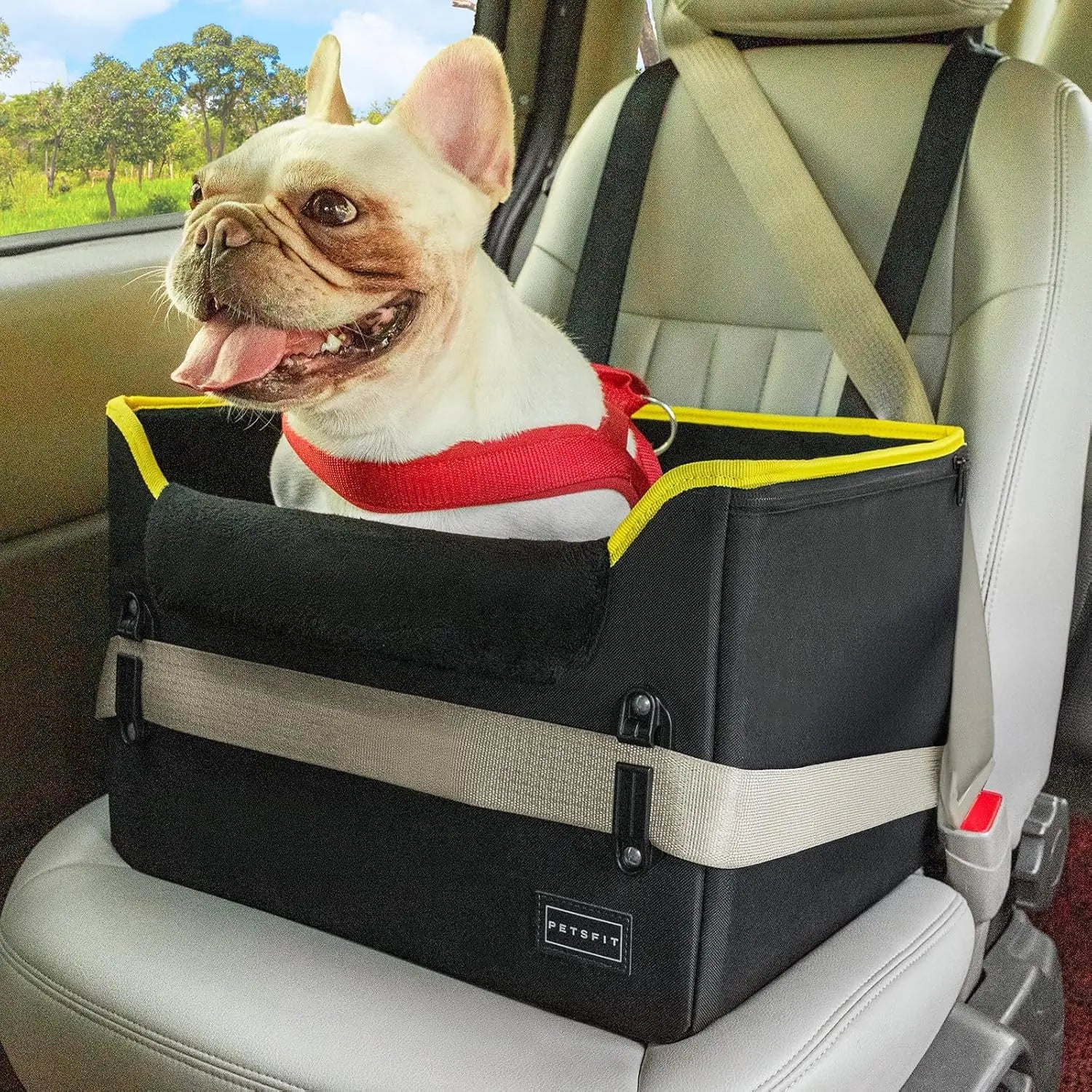 Foldable Dog Car Booster Seat