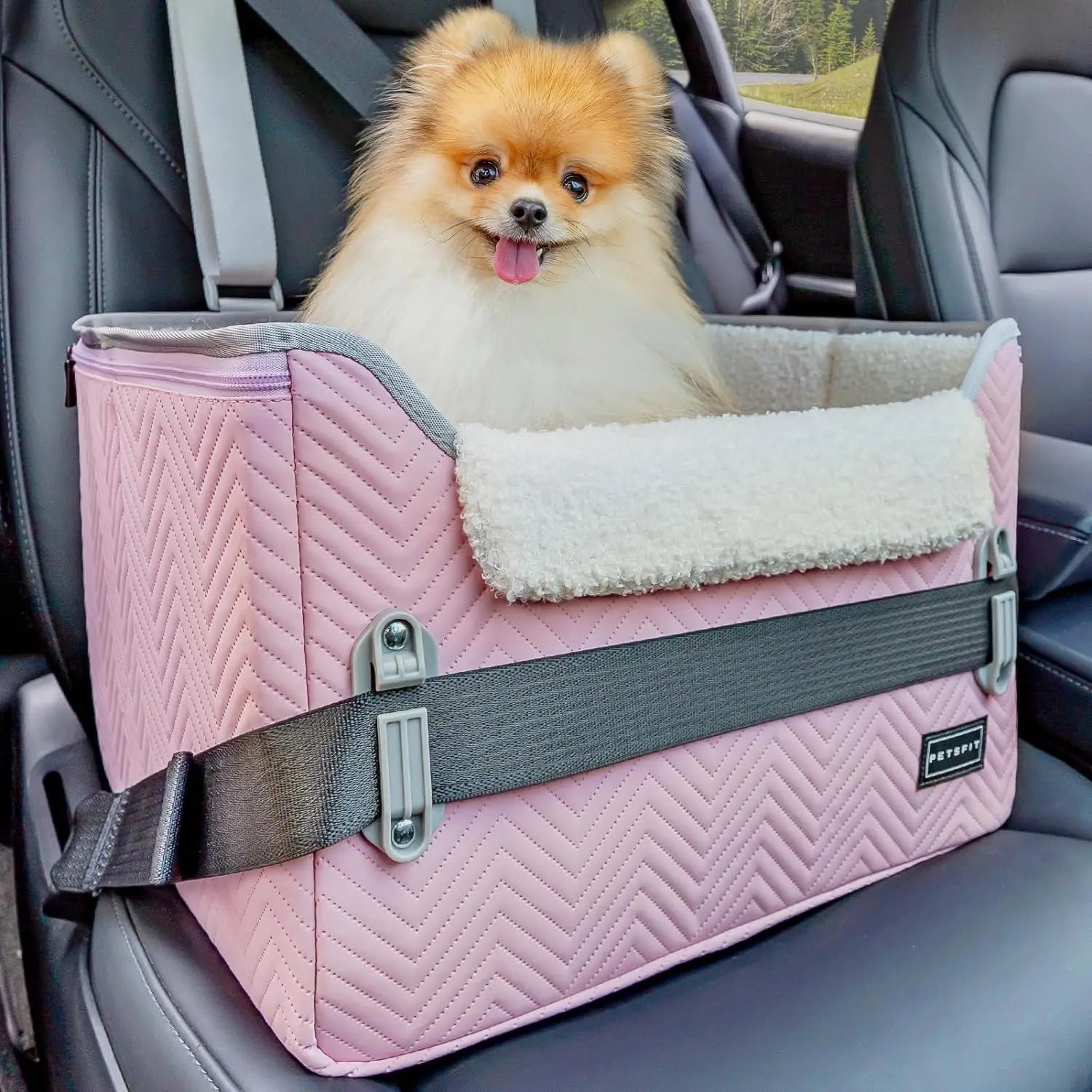 Foldable Dog Car Booster Seat