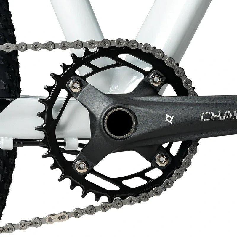 29" Hardtail Mountain Bike