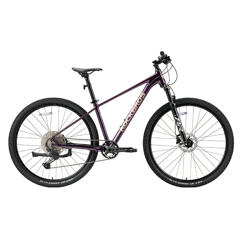 29" Hardtail Mountain Bike