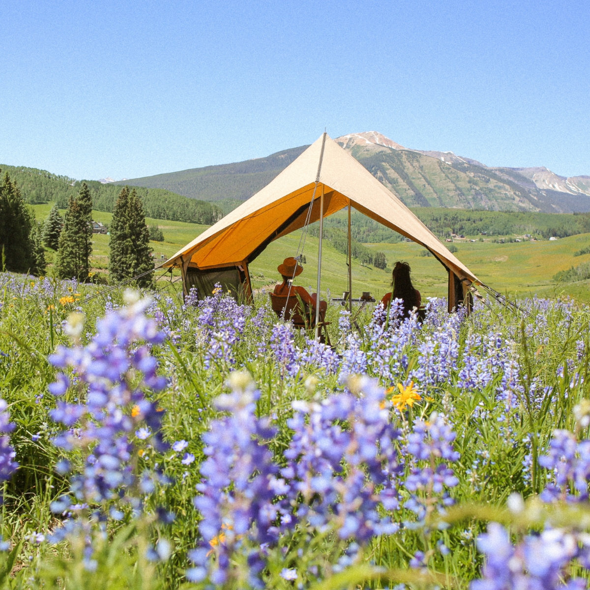 Rover Scout Tent