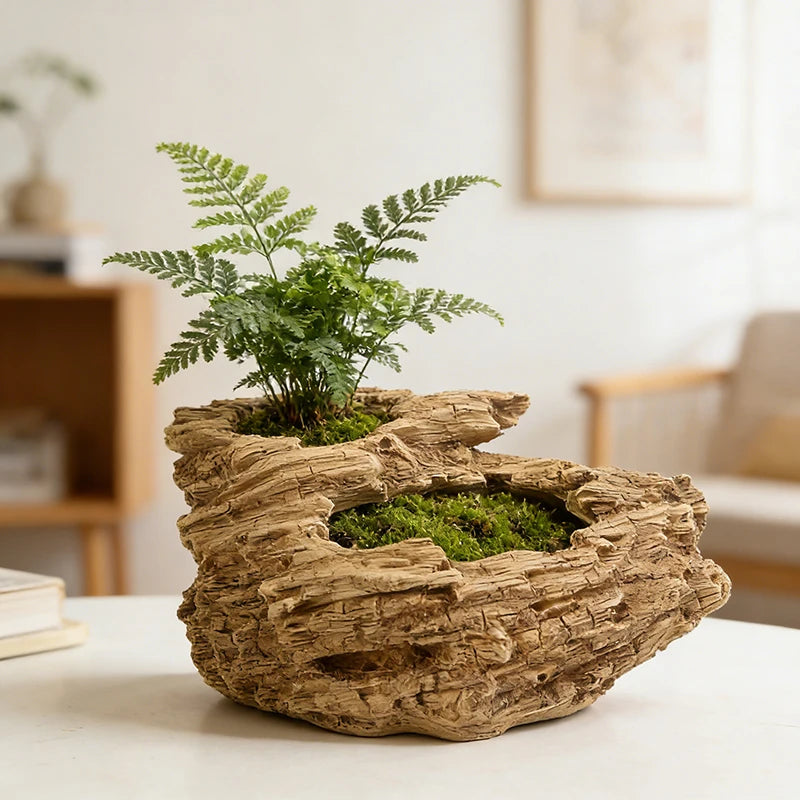 Driftwood Resin Succulent Planter