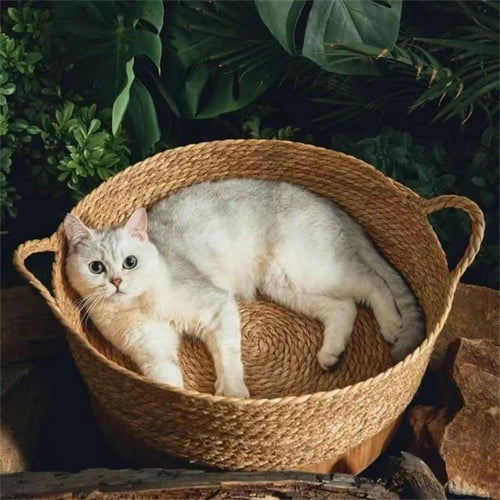 Cabin Rattan Pet Bed
