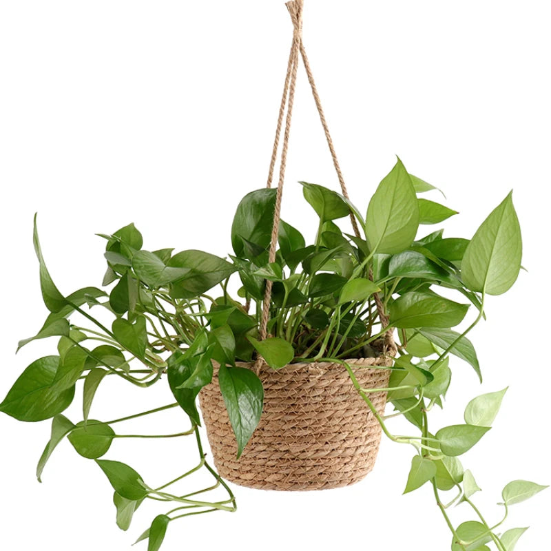 Woven Jute Hanging Planter Basket